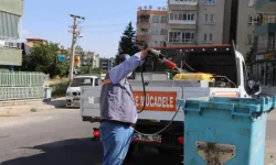 Sivrisinek için seferberlik