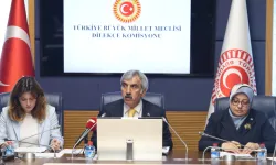 TBMM'de Akran Zorbalığı Raporu kabul edildi