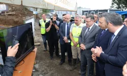 Trabzon'da sokak hayvanları için doğal yaşam alanı