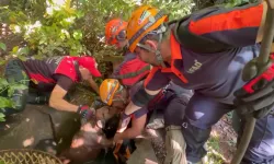 Yalova'da eski su kuyusuna düşen köpeği AFAD kurtardı