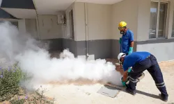 Antalya'da haşere ve sivrisinekle mücadele aralıksız sürüyor