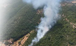 Bursa Kestel ve Harmancık'ta orman yangını... Havadan ve karadan müdahale sürüyor