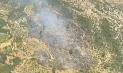 Bursa ve İzmir'de 3 yangın kontrol altında