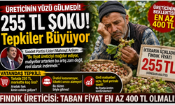 Fındıkta 255 TL Şoku! Üretici “En Az 400 TL” Diyor: Vatandaş Tepkili