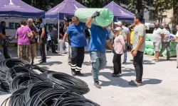 İzmir Büyükşehir'den domates ve çilek üreticisine iklim zırhı