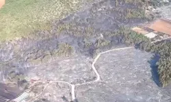 Muğla'da başlayıp Antalya'ya sıçrayan orman yangını kontrol altına alındı