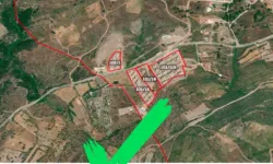 Muğla'da yanan orman alanları yapılaşmaya açıldı mı? Açıklama İletişim'den geldi