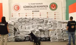 Zehir tacirlerine bir darbe daha! Kapıkule'de 810 kilogram esrar ele geçirildi
