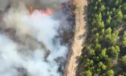 Antalya Serik'te orman yangını