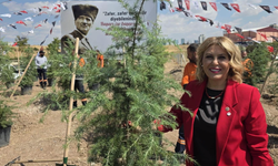 MİLLETVEKİLİ IŞIK GEZMİŞ: YENİ PARTİ, TÜRKİYE’NİN GELECEĞİNE UMUT OLACAK