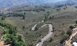 Ordu'da Ulubey Şeyhler'de yol sevinci