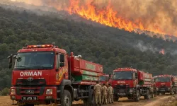Ormanları yakanlar adaletten kaçamıyor! 27 ilde 70 şüpheliden 16'sı tutuklandı