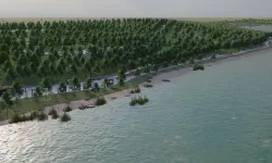 Sapanca Gölü'nün gözbebeği 'Huzur Koridoru'nda ikinci etap