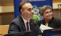 Türkiye'den en az gelişmiş ülkeler için yeşil sanayileşme hamlesi