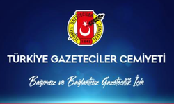 TGC: Gazeteci İsmail Arı serbest bırakılmalıdır