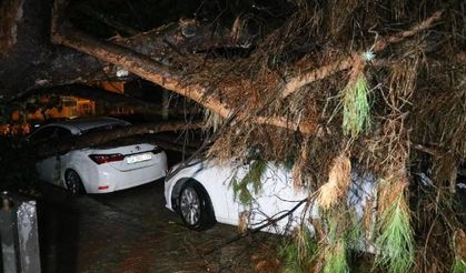 İzmir'i sağanak vurdu, işte objektife takılan fotoğraf kareleri