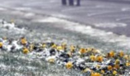 Çamlıca beyaza büründü