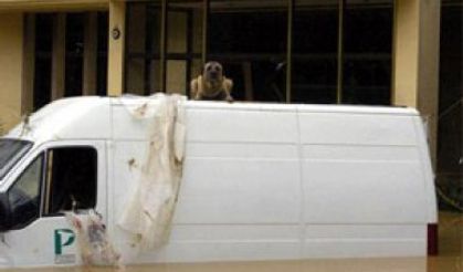 Selde ölen 8 kadın işçi için utanç raporu