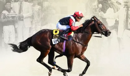 Türk atçı Glacius, Amerika'da G1 kazandı