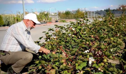 Kayseri'nin yeşil geleceği Kocasinan'da hayat buluyor