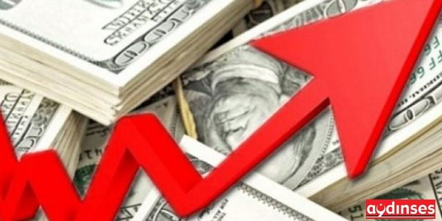 Dolar, Euro ve Altın aldı başını gidiyor