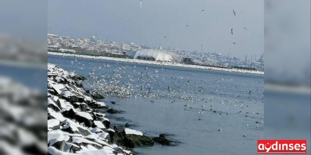 İstanbul'da kar-kış uyarısı... Mart karı yağıyor..