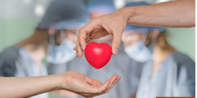 Organ Bağışı Yine Hayat Kurtardı
