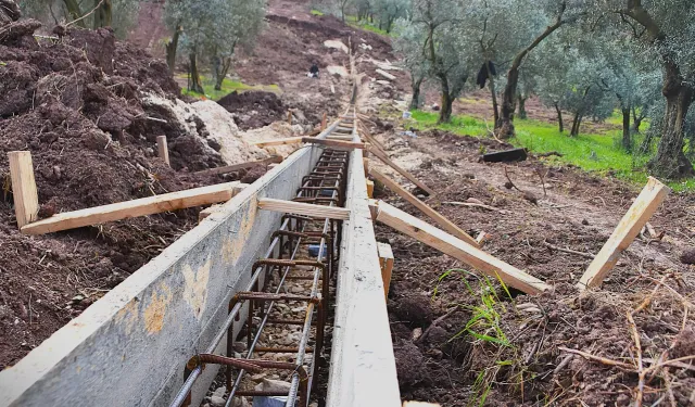 Patili canlar yeni yuvalarına kavuşuyor