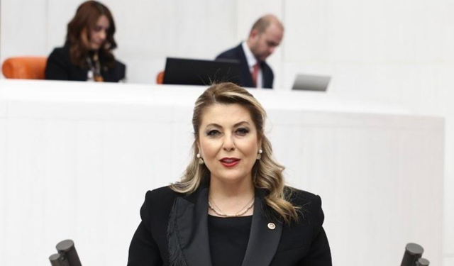 Milletvekili E. Işık Gezmiş: Giresun Sahil Yolu alarm veriyor.