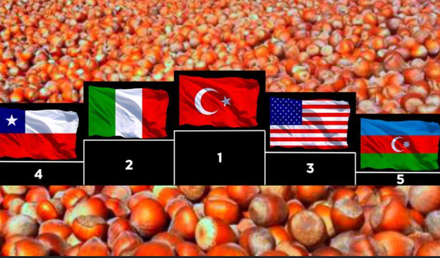 Fındık Üretiminde Lider Ülke, Türkiye…