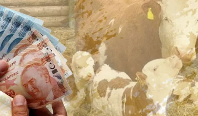 1,46 milyar TL tarımsal destek hesaplarda