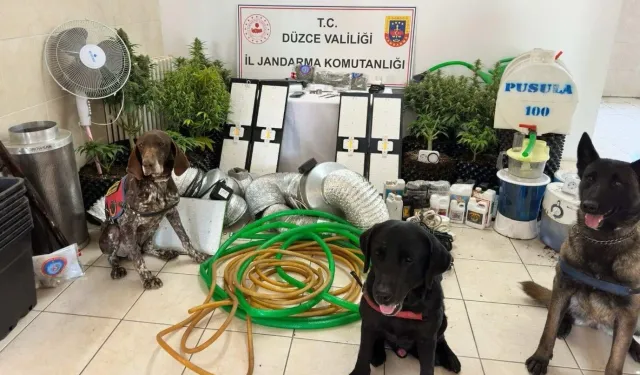 Düzce'de uyuşturucu operasyonu: 1 gözaltı