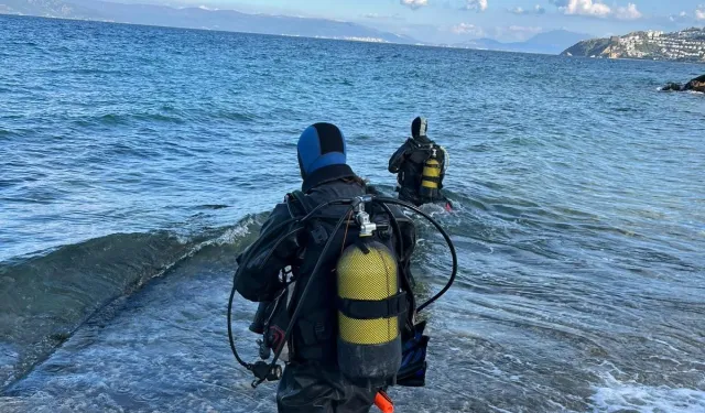 Marmara'nın ekolojik yapısına mercek! Bursa Büyükşehir 30 farklı dalış noktasından inceliyor