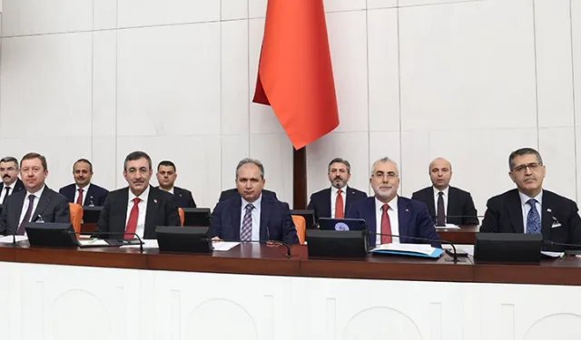 TBMM'de bütçe görüşmeleri devam ediyor