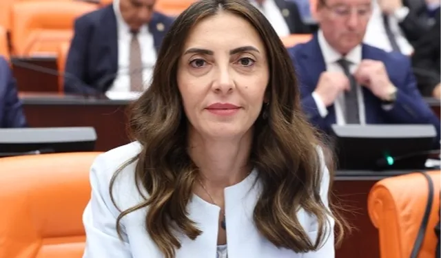 CHP'li Altaca Kayışoğlu'ndan 'alt komisyon' çağrısı