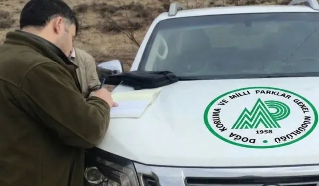 Kaçak avcılığa 1 milyon TL'yi aşan ceza