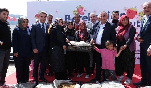 Adana Büyükşehir'den Pozantı'ya 900 bin çilek fidesi desteği