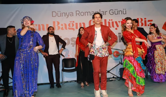 Gebze'de Romanlar buluşması