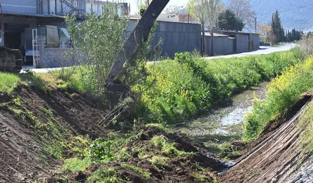 Manisa Akhisar'da dere temizliği