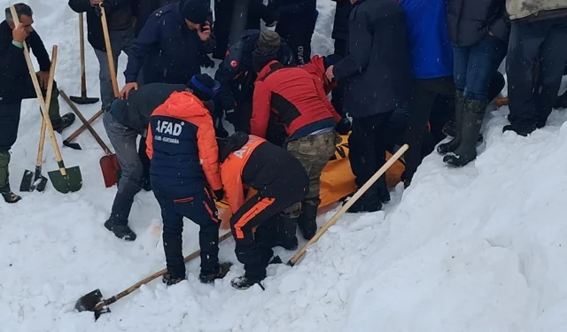 Artvin'de çığ faciasında kayıp çobanın 5 ay sonra cansız bedenine ulaşıldı!