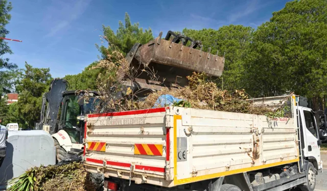 Bornova'da yaz öncesi kuru otlar temizlendi