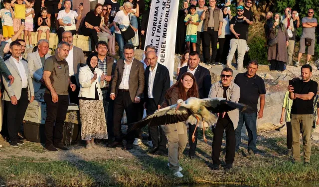 Bursa'da doğayla iç içe bir şenlik... Leylek Şenliği'ne coşkulu start