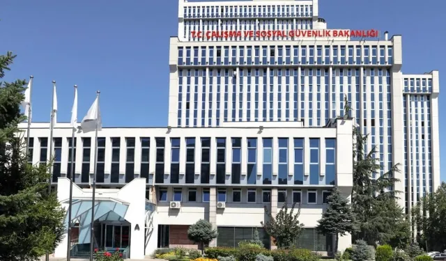 Kamu kurumlarının bazı hizmet kolları yeniden belirlendi
