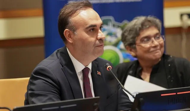 Türkiye'den en az gelişmiş ülkeler için yeşil sanayileşme hamlesi