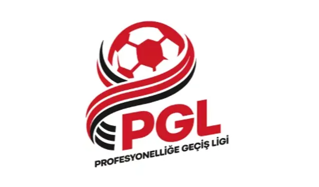Profesyonelliğe Geçiş Ligi'nde gruplar belirlendi