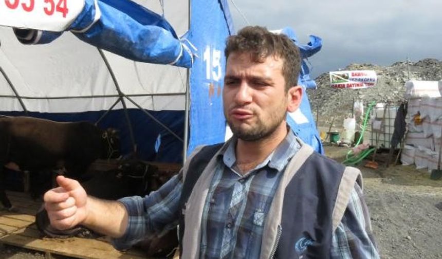 Sinop’ta hayvan yetiştiriciliği yapan Adem Ünlü “Hayvanlarımızı buraya getirmeden önce kanları veteriner aracılığı ile alınıp Ankara’ya gönderilip inceleniyor. Şap veya başka bir hastalık taşıyıp taşımadığı kontrol ediliyor. Bu testler olumsuz sonuç alan hiçbir hayvan bu alanlara sokulmuyor. Bütün bunlar bir maliyet olduğu için Kurban satış merkezlerinde fiyatlar biraz yüksek gibi duruyor. Ancak buradan alınan hayvanlara yüzde yüz güvenebilirsiniz. Her hayvanın bir sağlık raporu var. Müşterilerimiz satıcılardan bunu görmek isteyebilirler.” dedi.