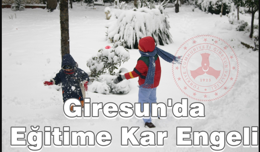 Kar yağışı Giresun'da da etkili oldu, bazı ilçelerde eğitime ara verildi