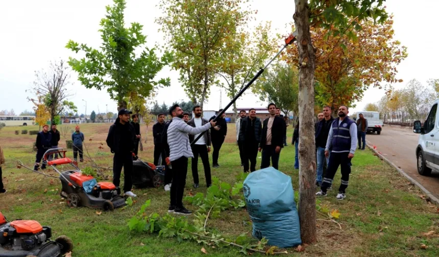 Üniversite öğrencileri budama tekniklerini uygulamalı öğrendi
