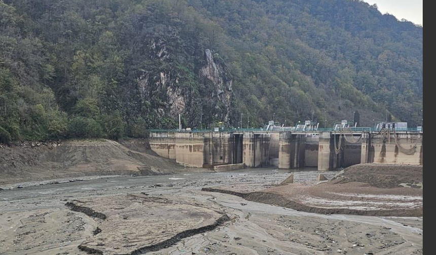Giresun Harşit Çayı'nda Zehir Alarmı..