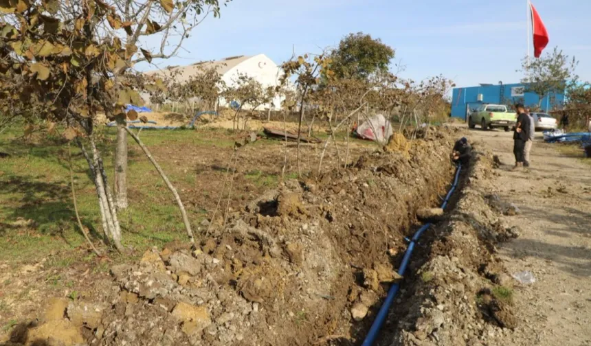 Fındıkta verim artırımı için damlama sulama dönemi!